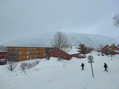 Mat og drikke Bedriftskategori Tromsdalen Thai catering Knut Harald Einarsen